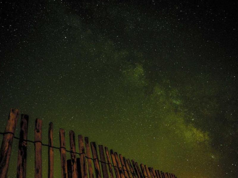 At vestibulum aliquam consequat id montes eget in nostra